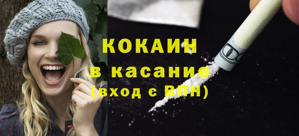 PSILOCYBIN Богданович