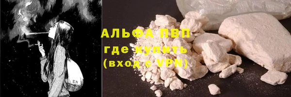 PSILOCYBIN Богородицк