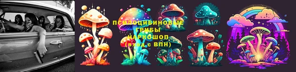 PSILOCYBIN Богданович