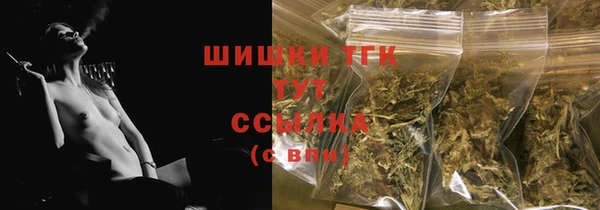 PSILOCYBIN Богданович