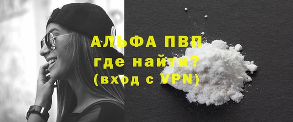 PSILOCYBIN Богданович