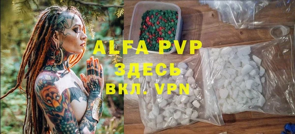 PSILOCYBIN Богданович