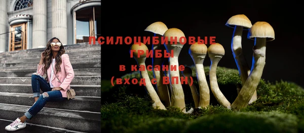 прущая мука Богородск