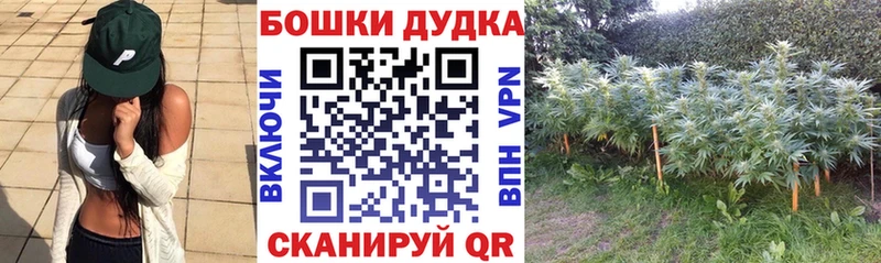Купить  Ливны  Конопля тримм 